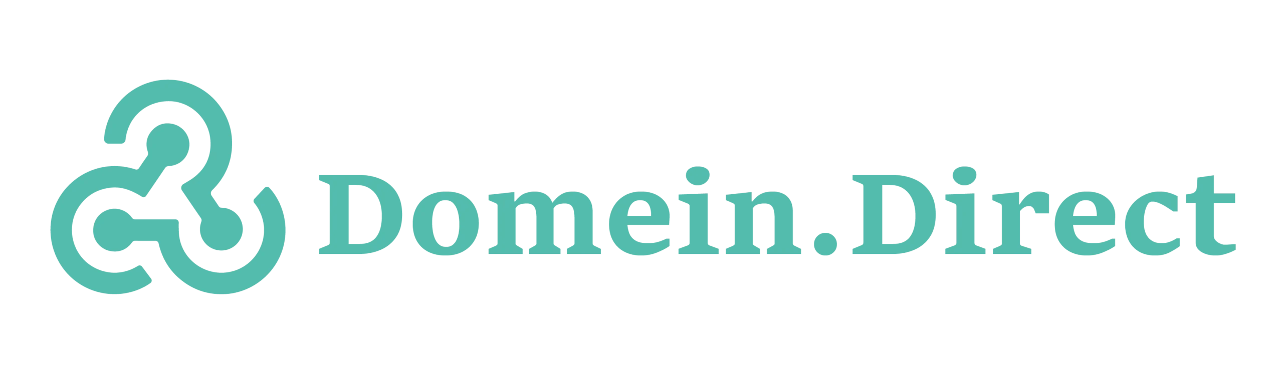 Domein direct logo